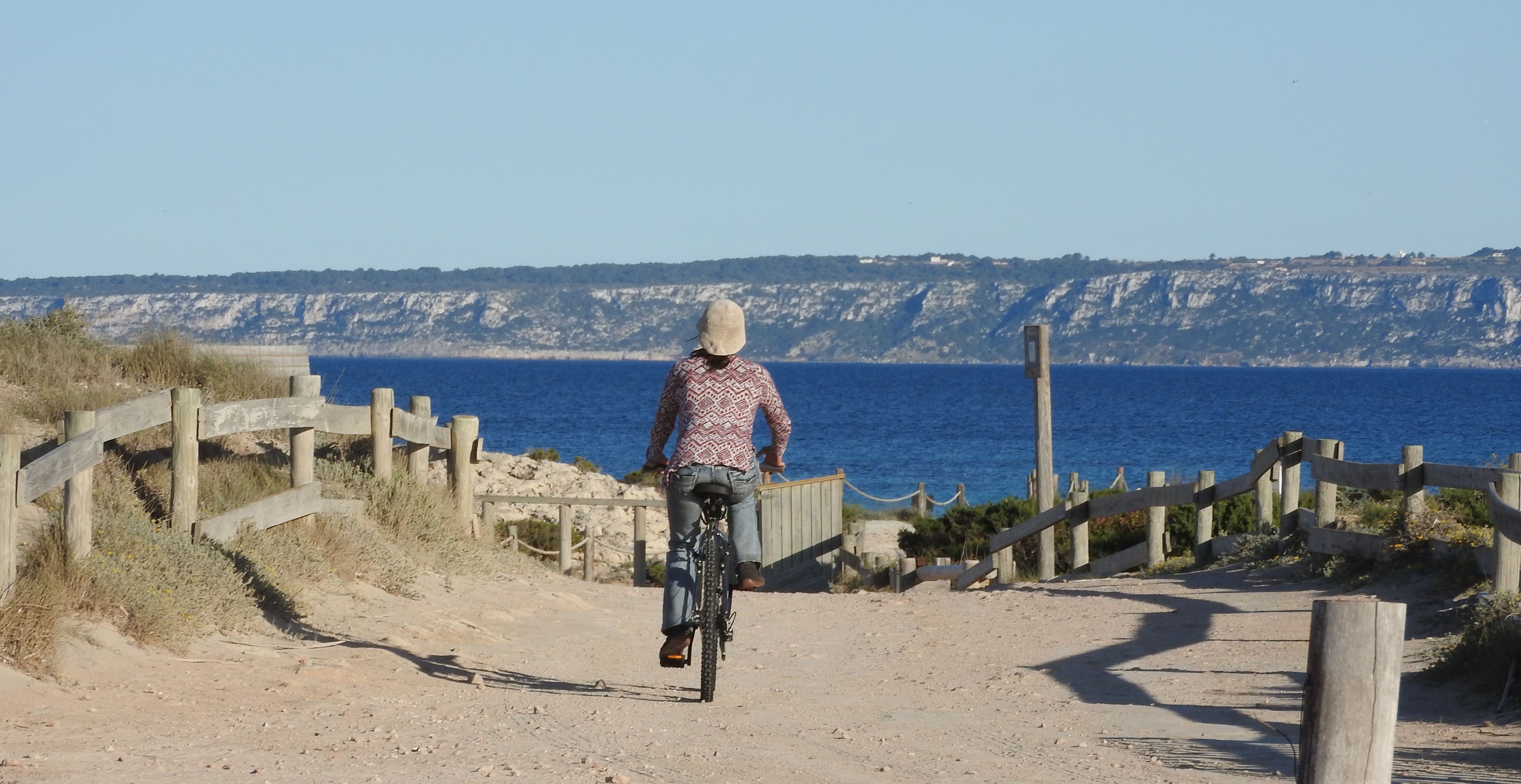 Bicicleta I