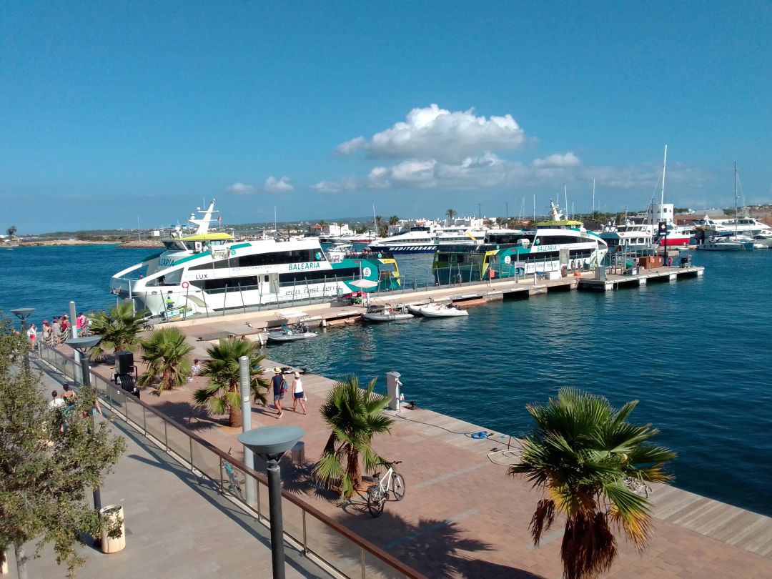 lasavina