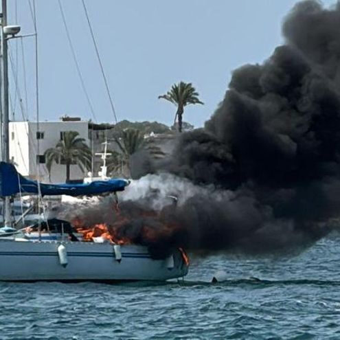 1c3ad7ac-a838-4fa3-b78a-cf8f855efbd5_16-9-aspect-ratio_default_0_x438y1268